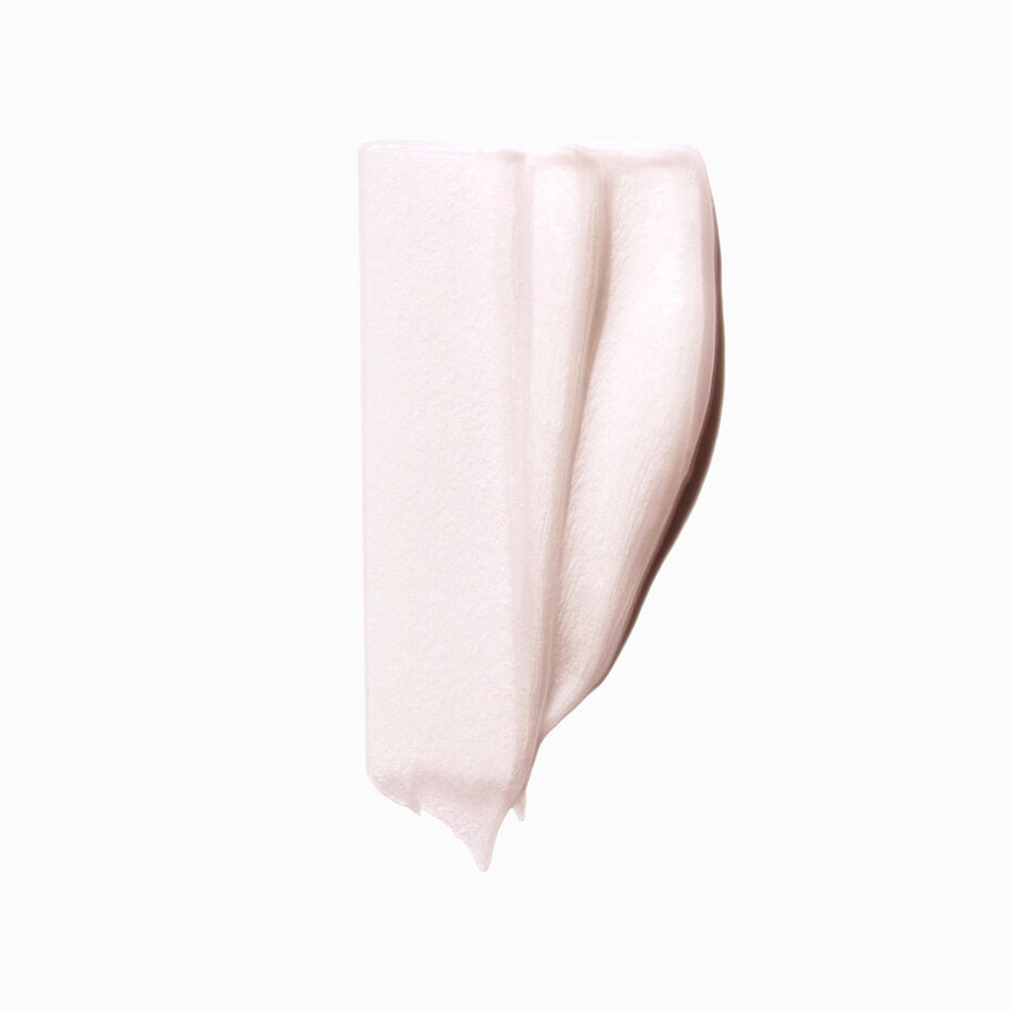 Chroma Absolu Filler Hair Mask